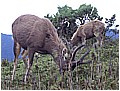 2008-7-6 下午 05-47-39---東郡北鞍營地與水路邂逅8.jpg
